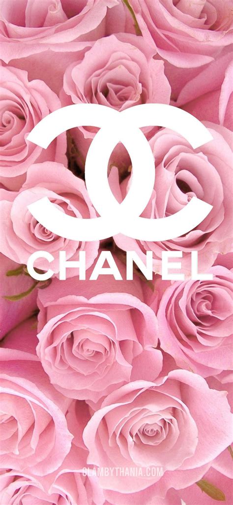 light pink chanel desktop|pink Chanel wallpaper desktop.